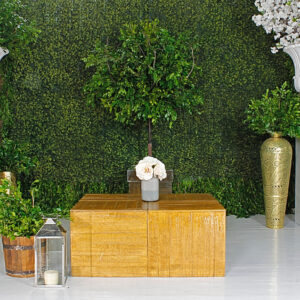 MESA DE CENTRO MADERA CAOBA